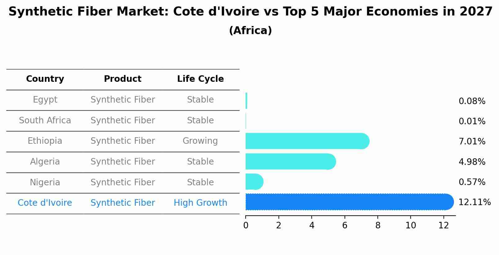 Synthetic Fiber Market: Cote d'Ivoire vs Top 5 Major Economies in 2027 (Africa)