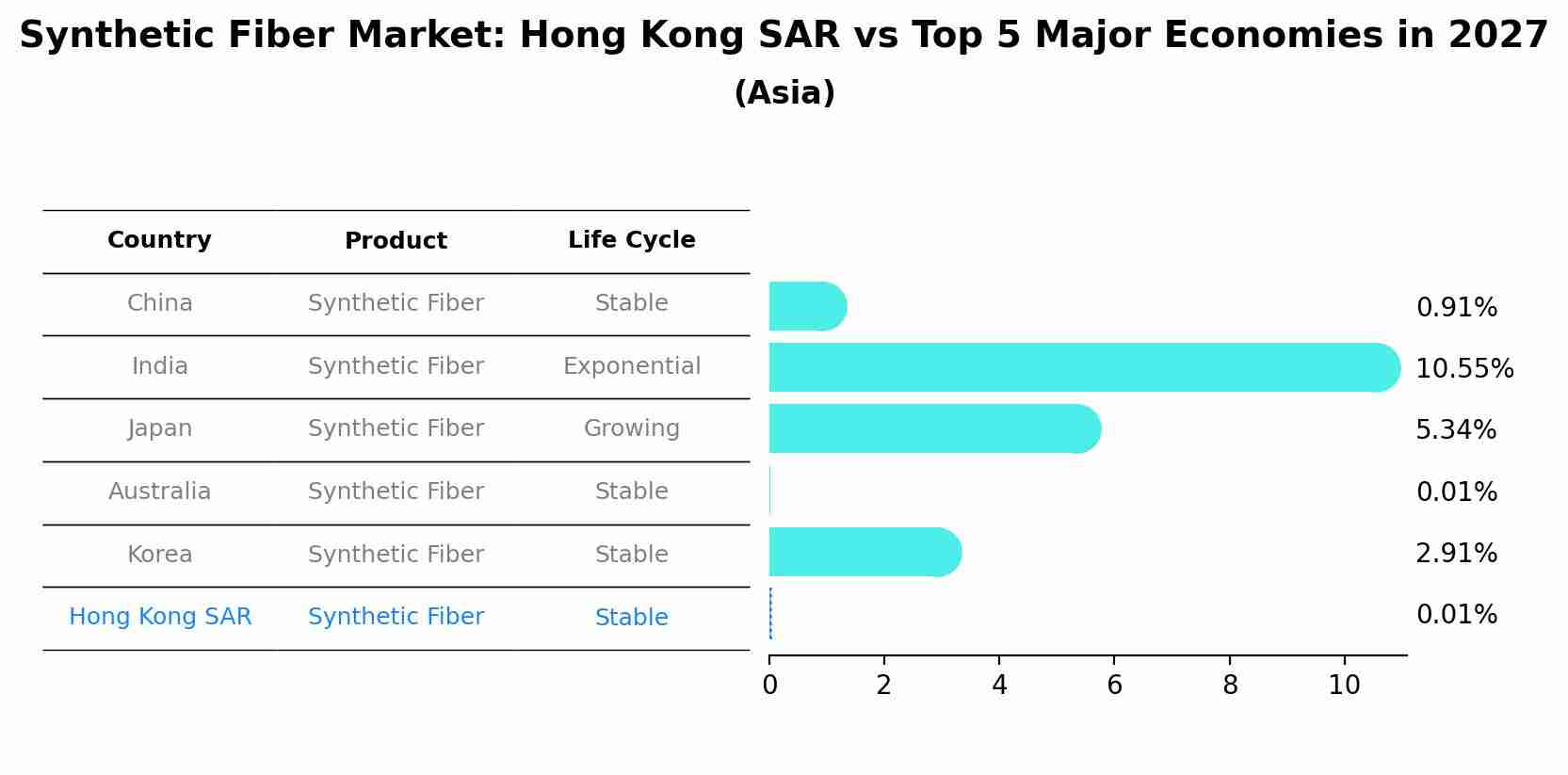 Synthetic Fiber Market: Hong Kong SAR vs Top 5 Major Economies in 2027 (Asia)