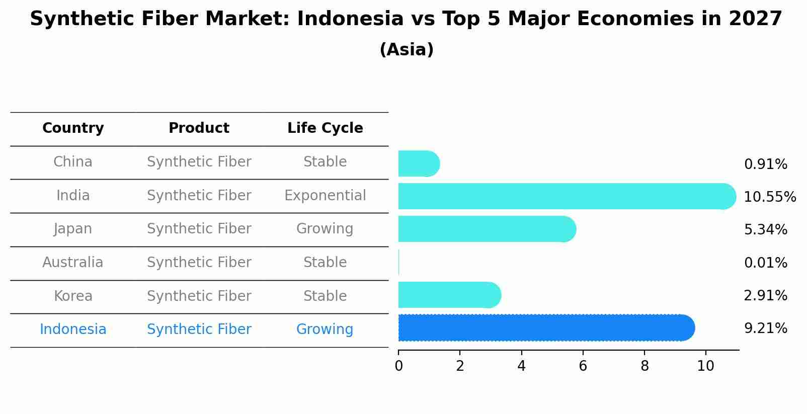 Synthetic Fiber Market: Indonesia vs Top 5 Major Economies in 2027 (Asia)