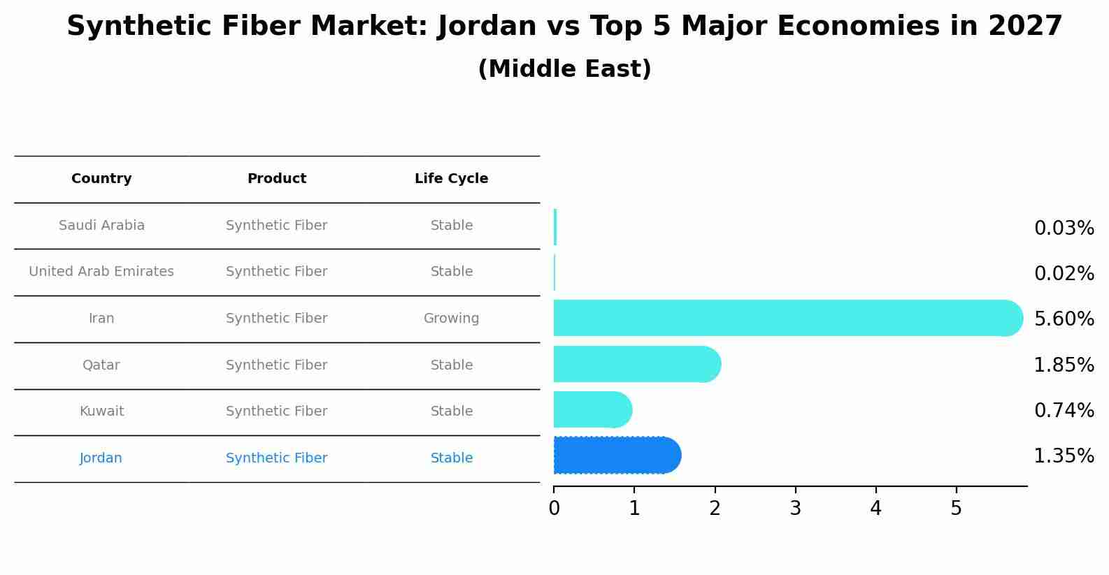 Synthetic Fiber Market: Jordan vs Top 5 Major Economies in 2027 (Middle East)