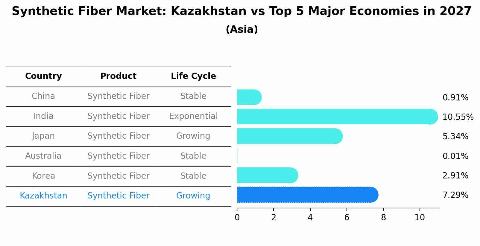 Synthetic Fiber Market: Kazakhstan vs Top 5 Major Economies in 2027 (Asia)