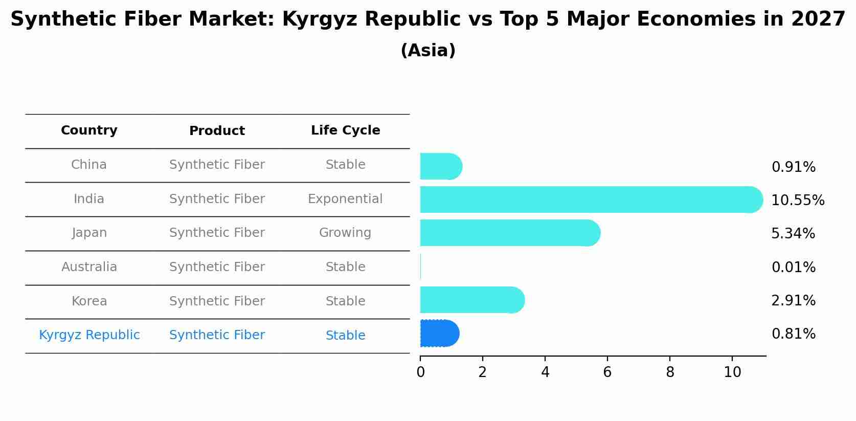 Synthetic Fiber Market: Kyrgyz Republic vs Top 5 Major Economies in 2027 (Asia)