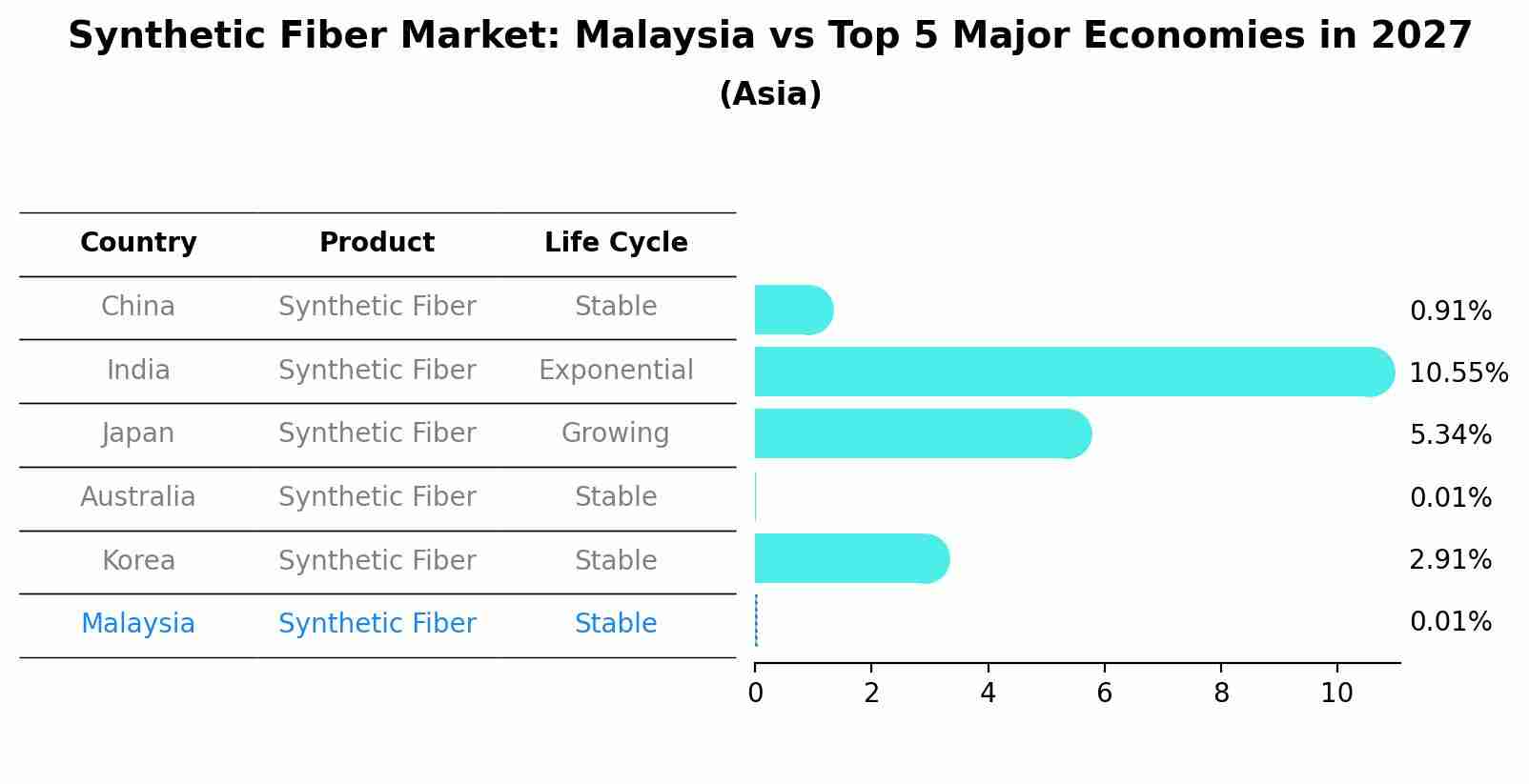 Synthetic Fiber Market: Malaysia vs Top 5 Major Economies in 2027 (Asia)