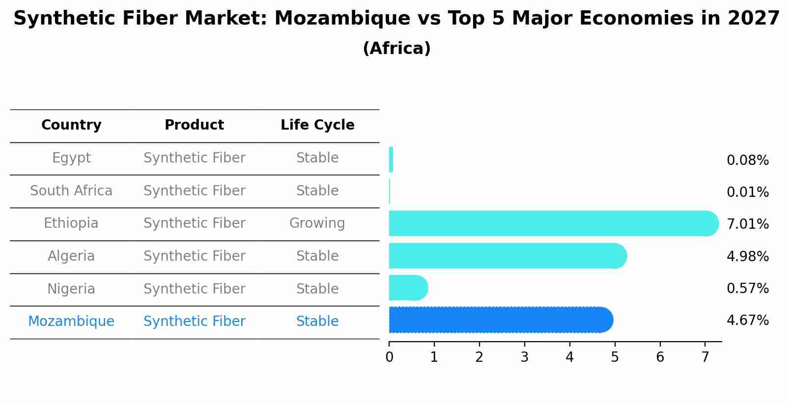 Synthetic Fiber Market: Mozambique vs Top 5 Major Economies in 2027 (Africa)