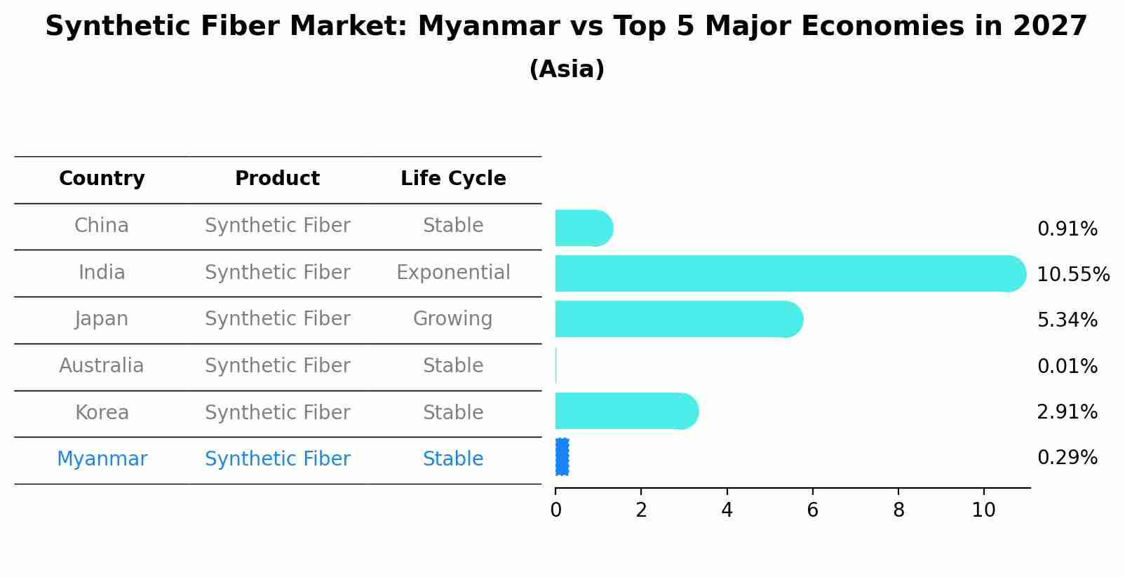 Synthetic Fiber Market: Myanmar vs Top 5 Major Economies in 2027 (Asia)