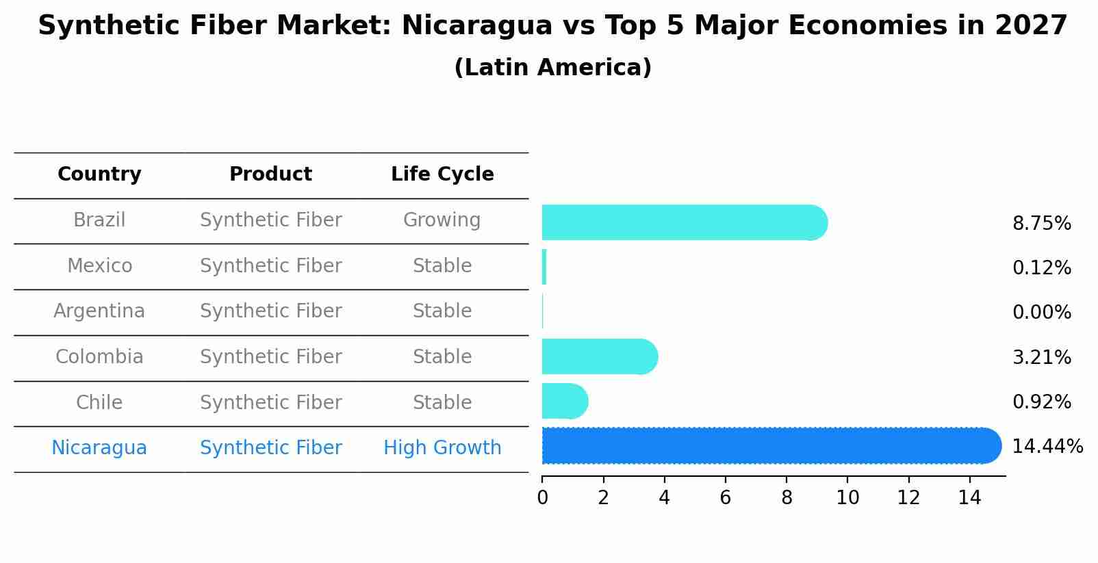 Synthetic Fiber Market: Nicaragua vs Top 5 Major Economies in 2027 (Latin America)