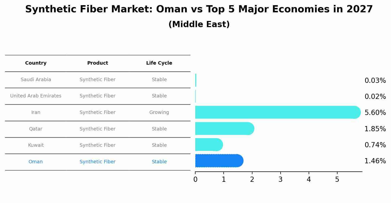 Synthetic Fiber Market: Oman vs Top 5 Major Economies in 2027 (Middle East)