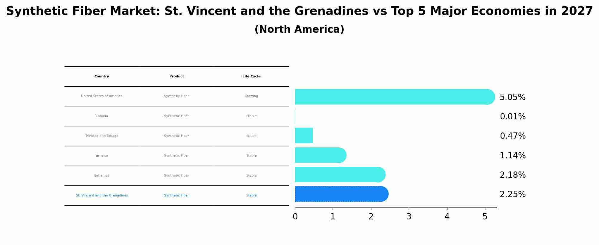 Synthetic Fiber Market: St. Vincent and the Grenadines vs Top 5 Major Economies in 2027 (North America)