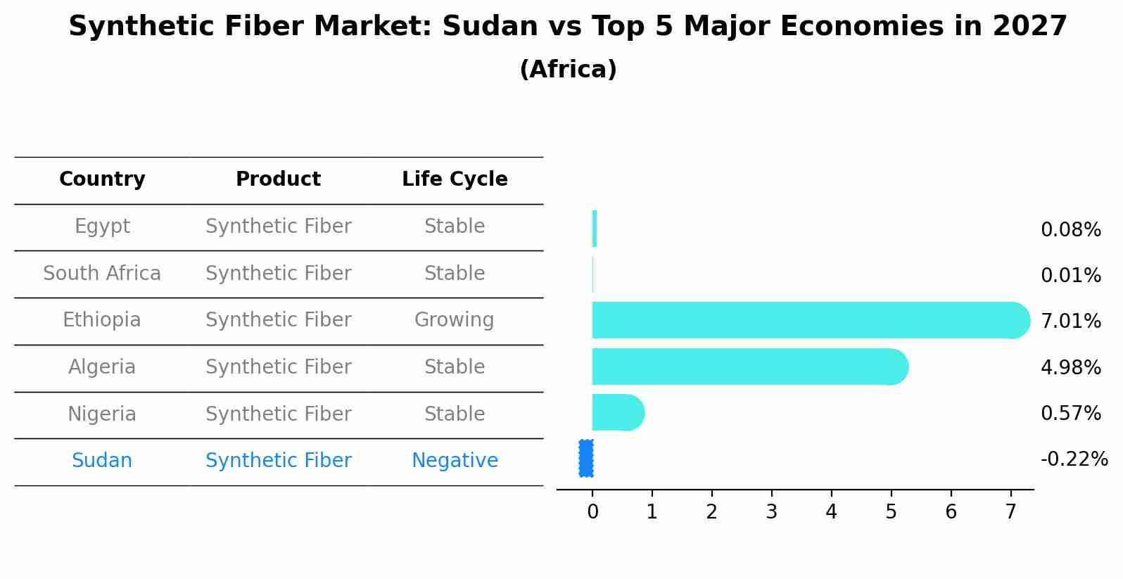 Synthetic Fiber Market: Sudan vs Top 5 Major Economies in 2027 (Africa)