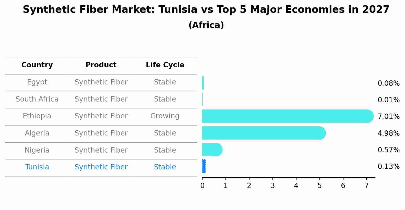 Synthetic Fiber Market: Tunisia vs Top 5 Major Economies in 2027 (Africa)