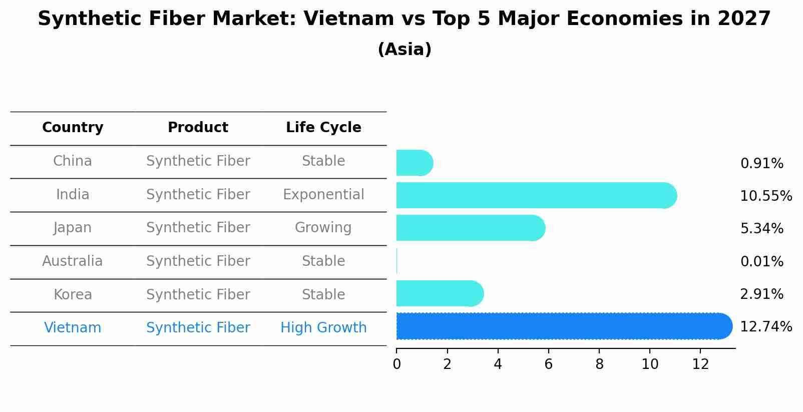 Synthetic Fiber Market: Vietnam vs Top 5 Major Economies in 2027 (Asia)