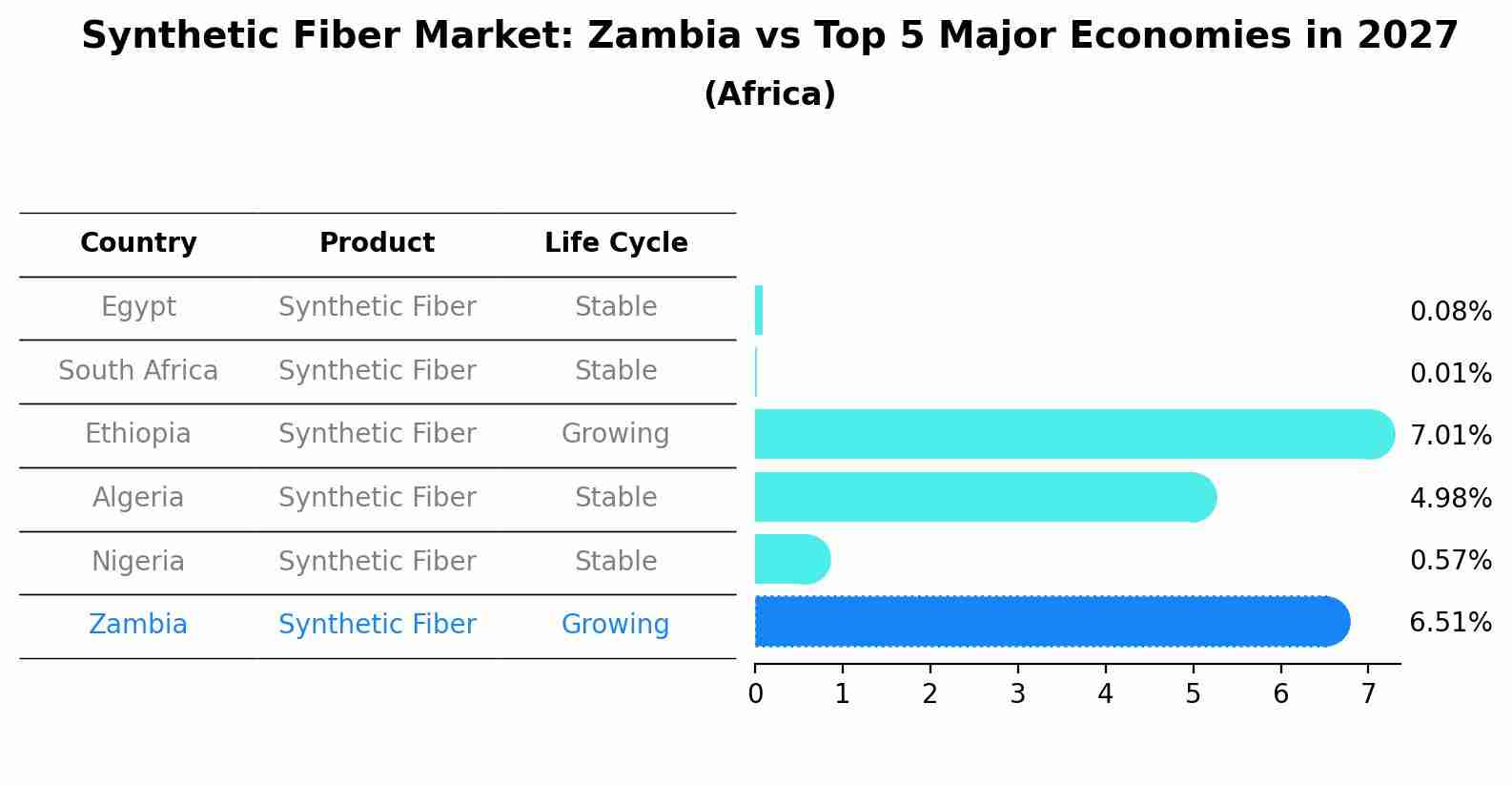 Synthetic Fiber Market: Zambia vs Top 5 Major Economies in 2027 (Africa)