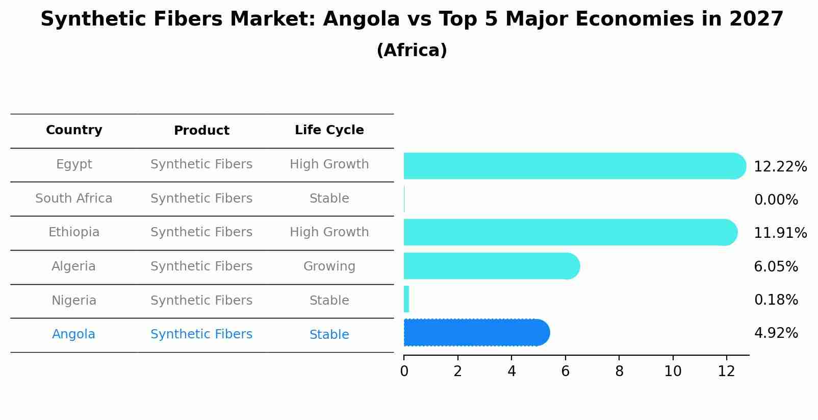 Synthetic Fibers Market: Angola vs Top 5 Major Economies in 2027 (Africa)