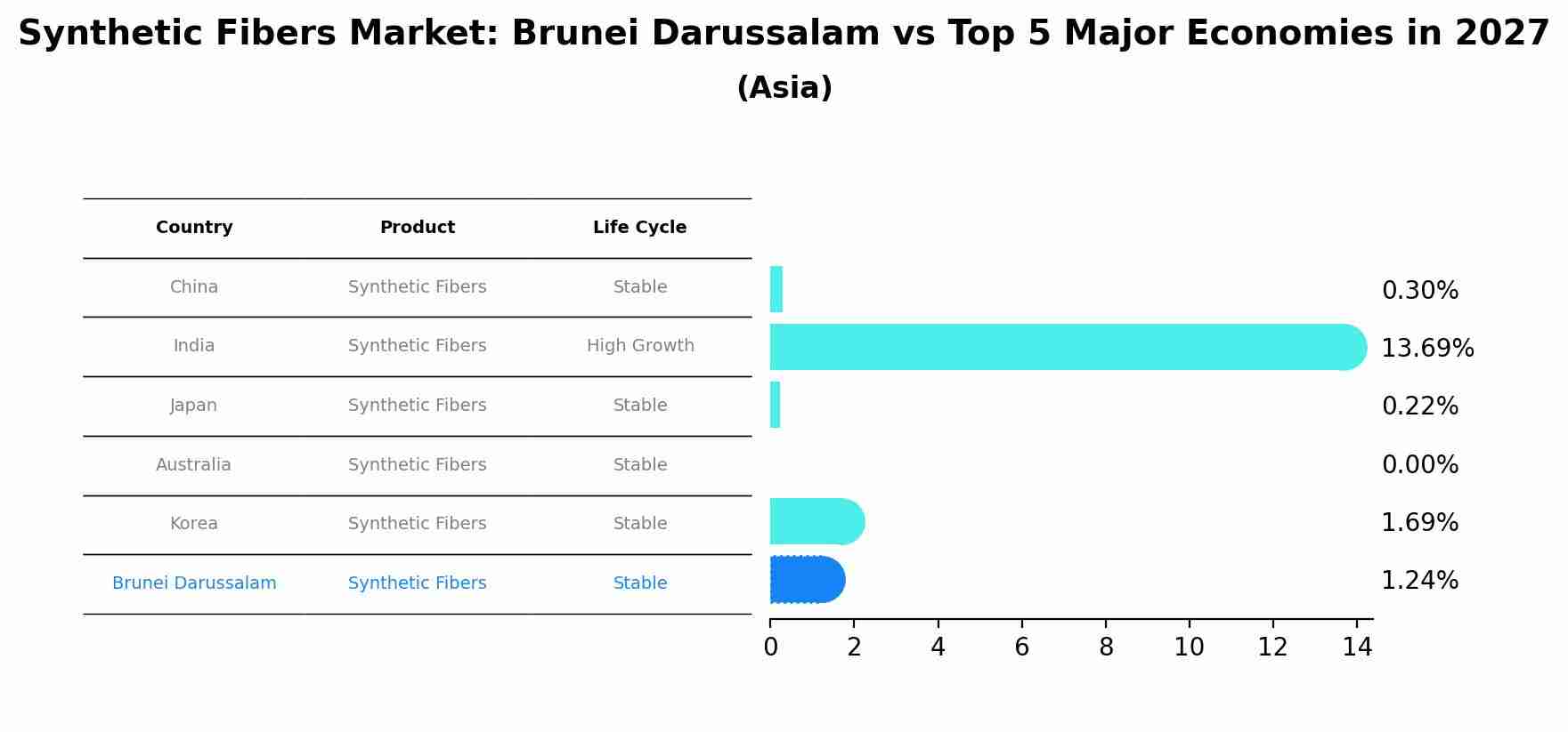 Synthetic Fibers Market: Brunei Darussalam vs Top 5 Major Economies in 2027 (Asia)