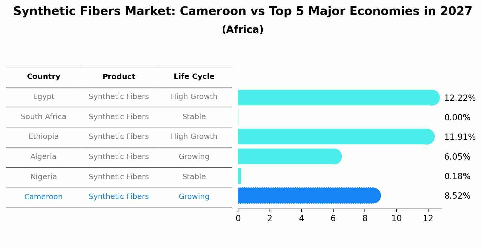 Synthetic Fibers Market: Cameroon vs Top 5 Major Economies in 2027 (Africa)