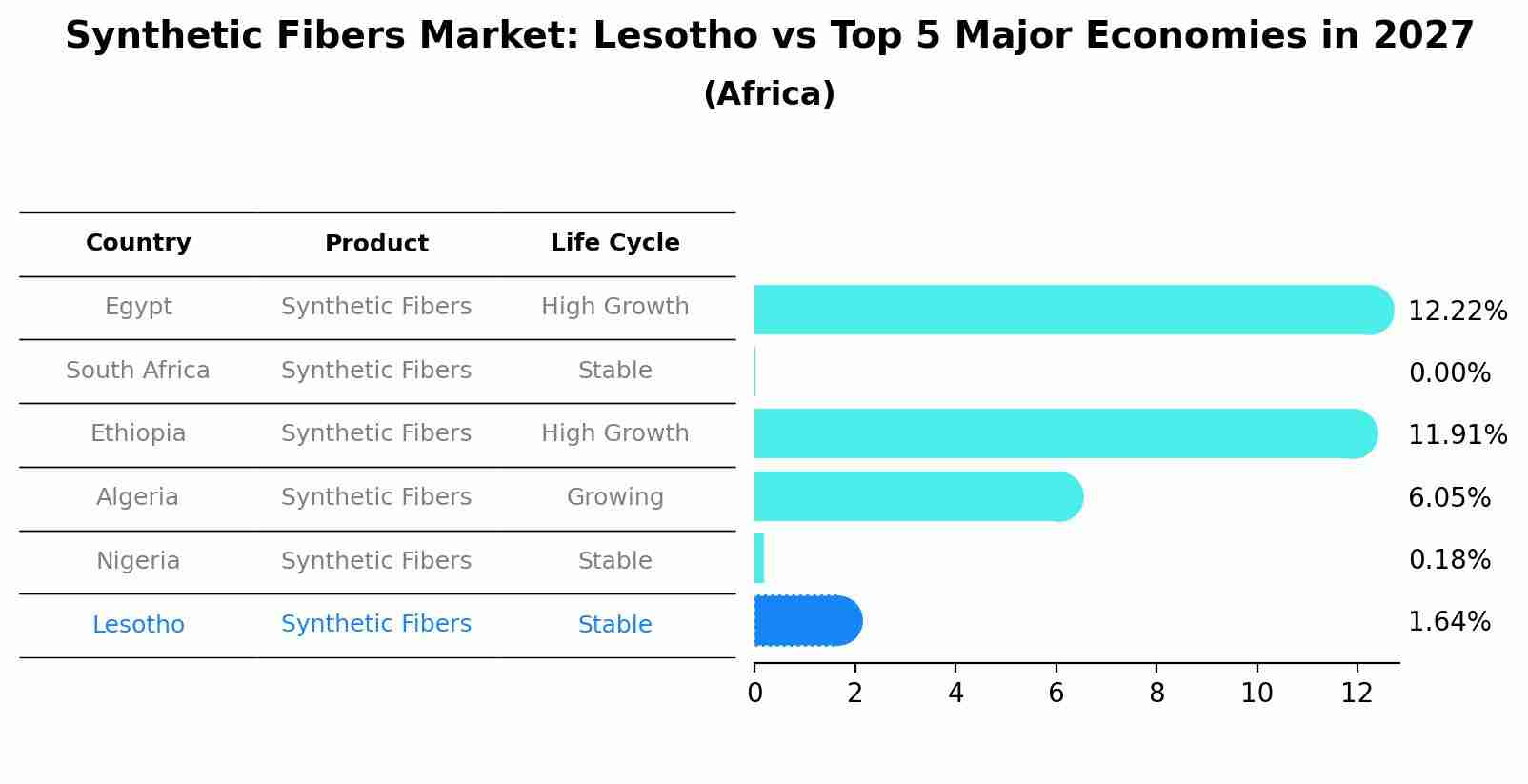 Synthetic Fibers Market: Lesotho vs Top 5 Major Economies in 2027 (Africa)