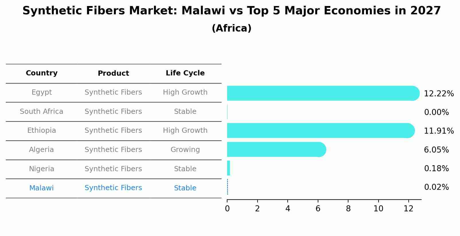 Synthetic Fibers Market: Malawi vs Top 5 Major Economies in 2027 (Africa)