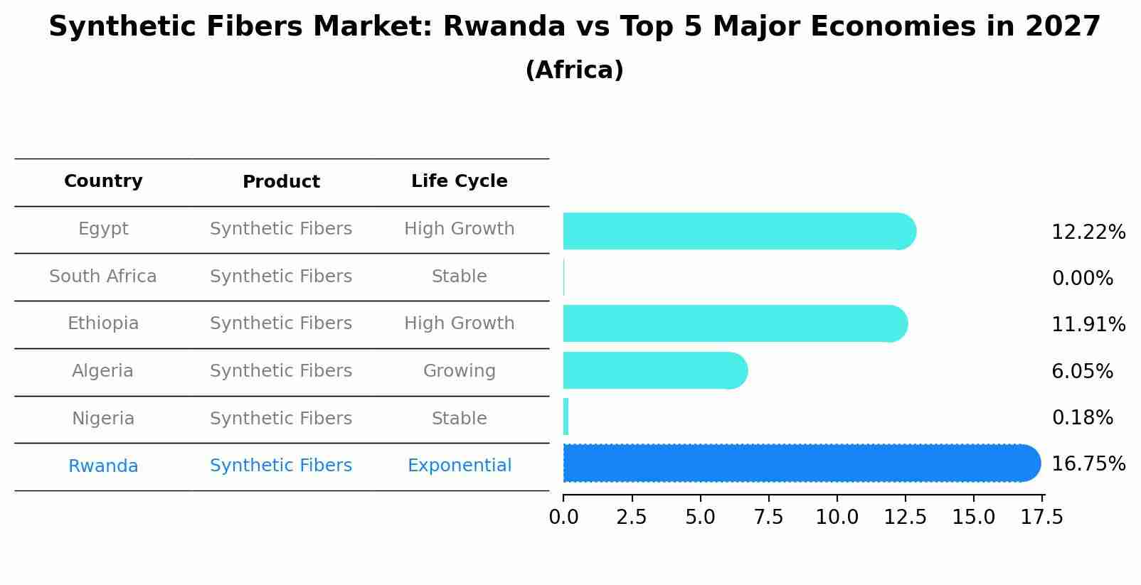 Synthetic Fibers Market: Rwanda vs Top 5 Major Economies in 2027 (Africa)