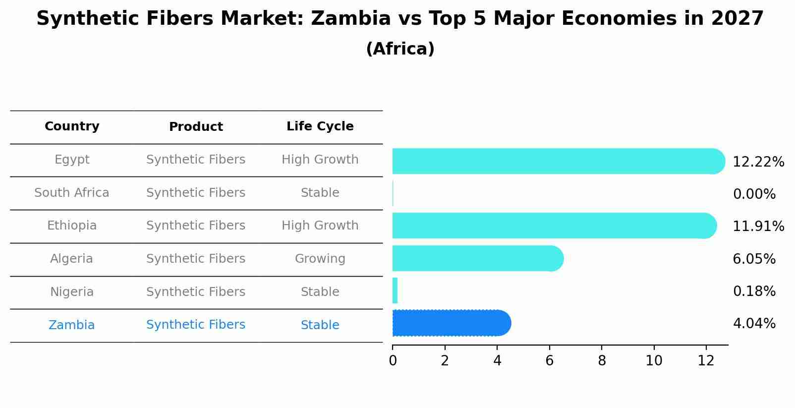 Synthetic Fibers Market: Zambia vs Top 5 Major Economies in 2027 (Africa)