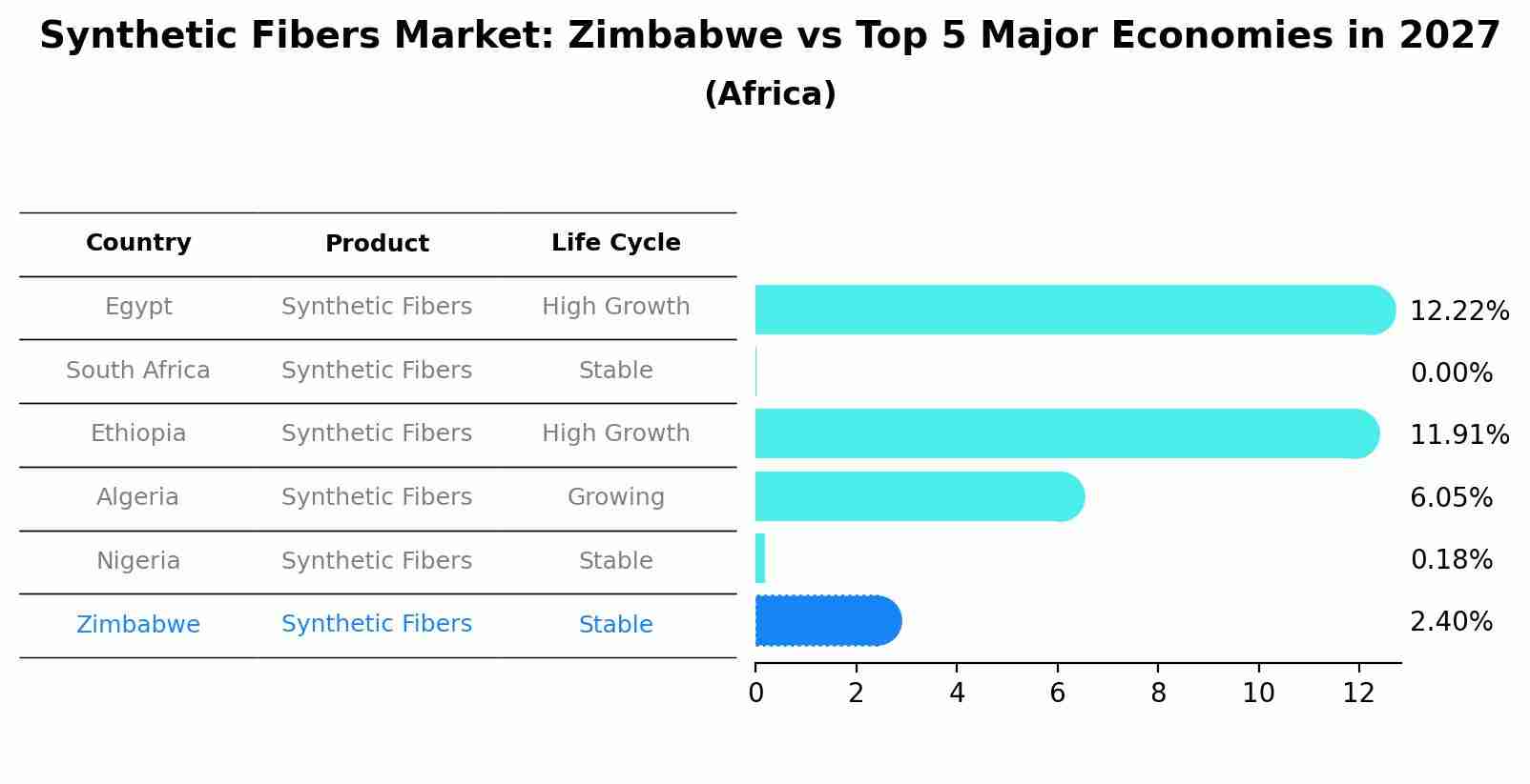Synthetic Fibers Market: Zimbabwe vs Top 5 Major Economies in 2027 (Africa)