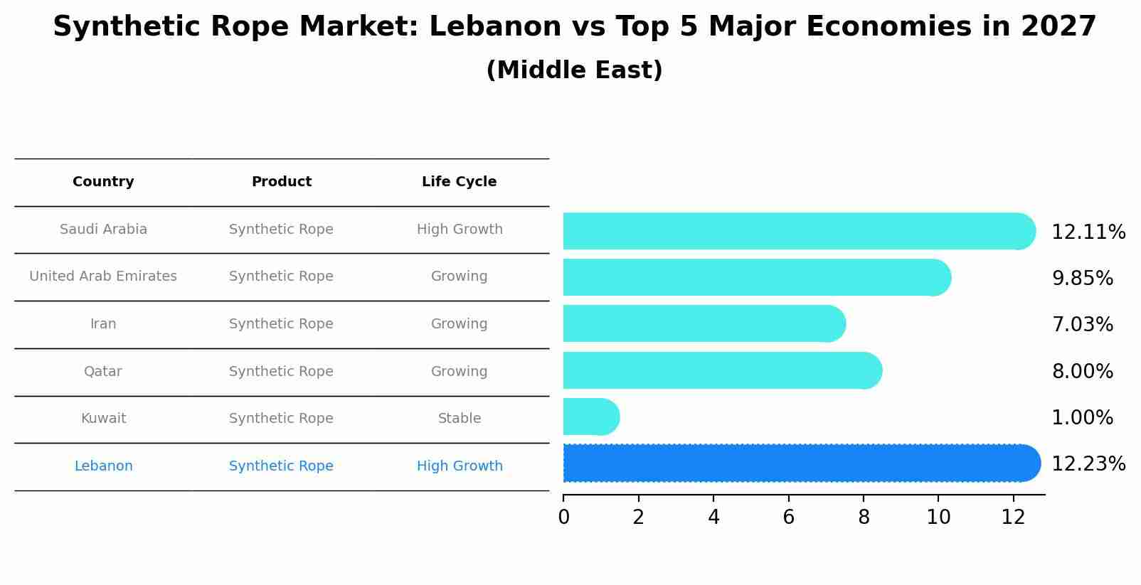 Synthetic Rope Market: Lebanon vs Top 5 Major Economies in 2027 (Middle East)
