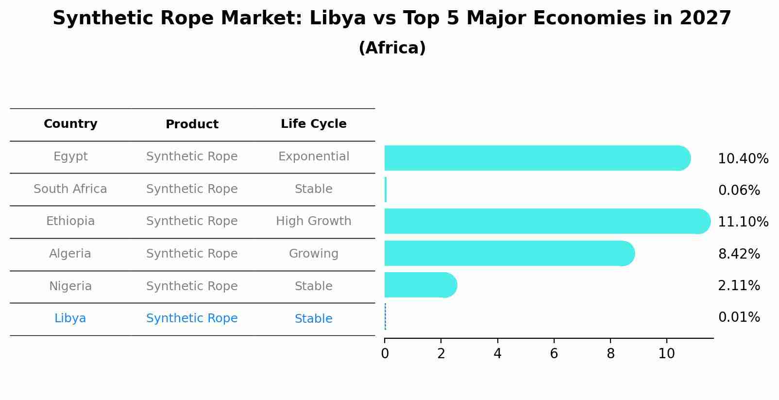 Synthetic Rope Market: Libya vs Top 5 Major Economies in 2027 (Africa)