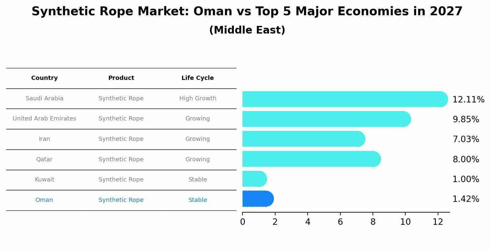 Synthetic Rope Market: Oman vs Top 5 Major Economies in 2027 (Middle East)