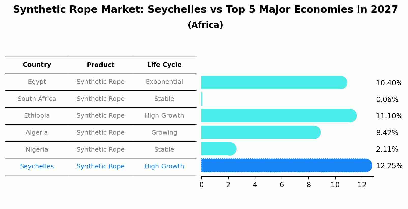 Synthetic Rope Market: Seychelles vs Top 5 Major Economies in 2027 (Africa)