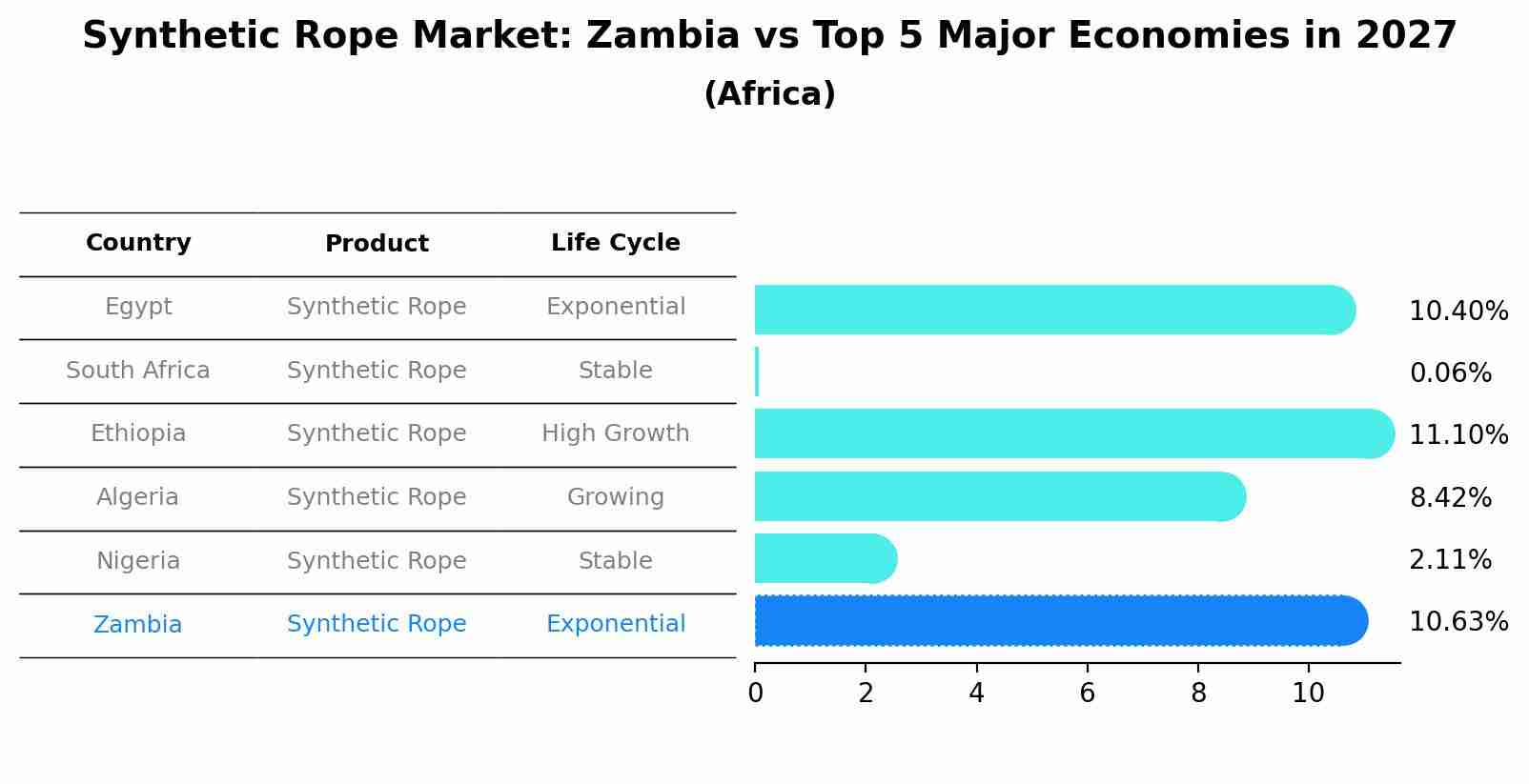 Synthetic Rope Market: Zambia vs Top 5 Major Economies in 2027 (Africa)