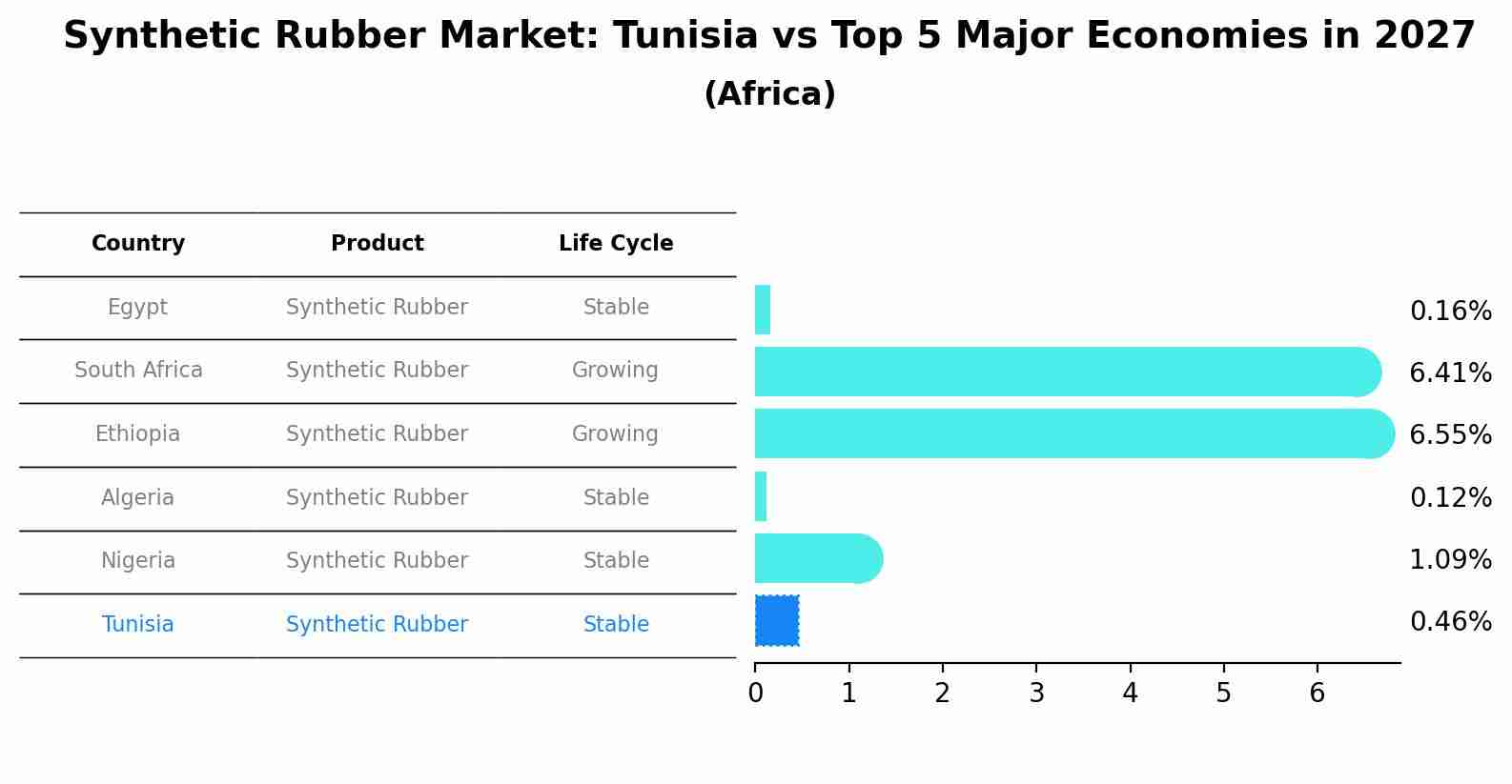 Synthetic Rubber Market: Tunisia vs Top 5 Major Economies in 2027 (Africa)