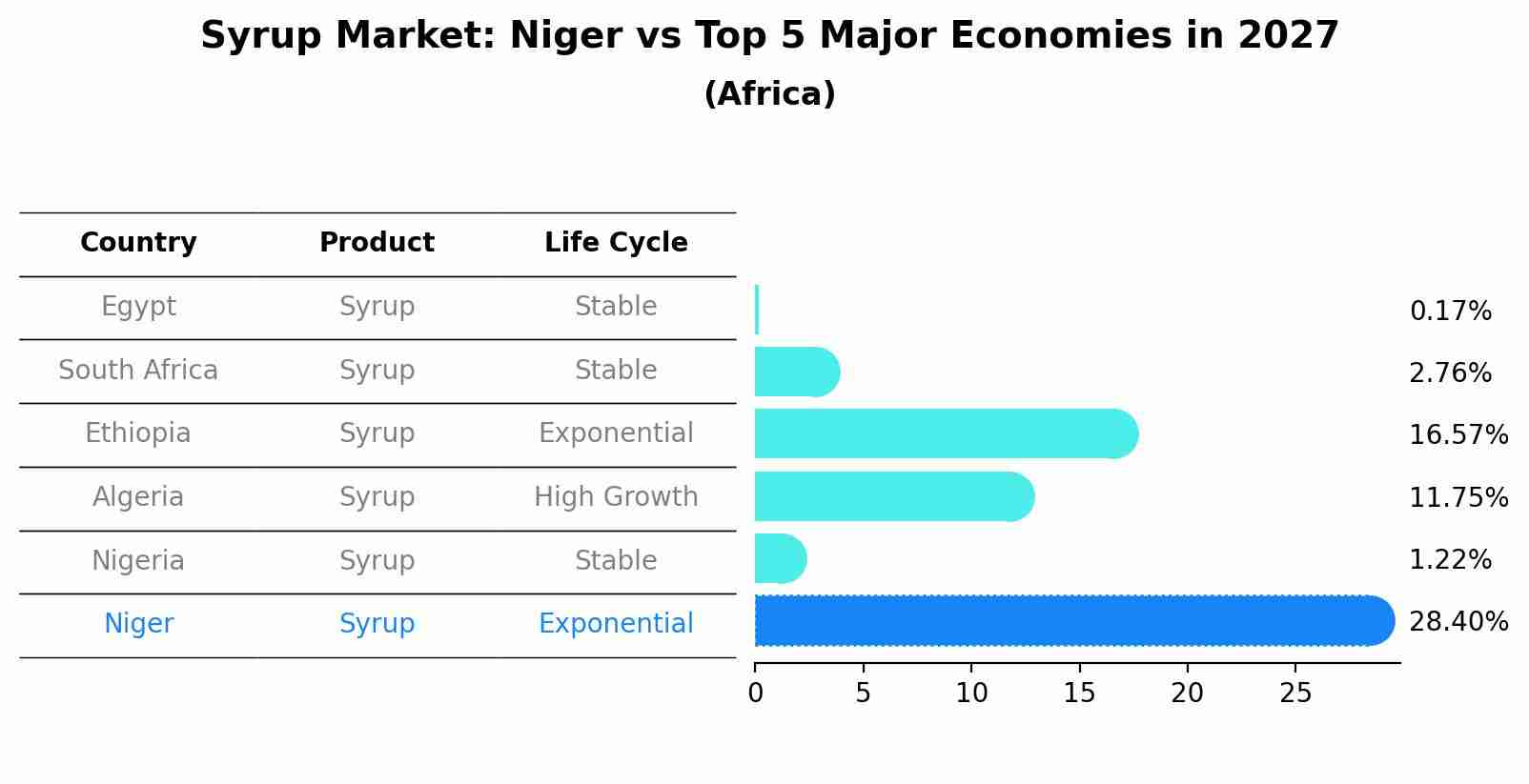 Syrup Market: Niger vs Top 5 Major Economies in 2027 (Africa)
