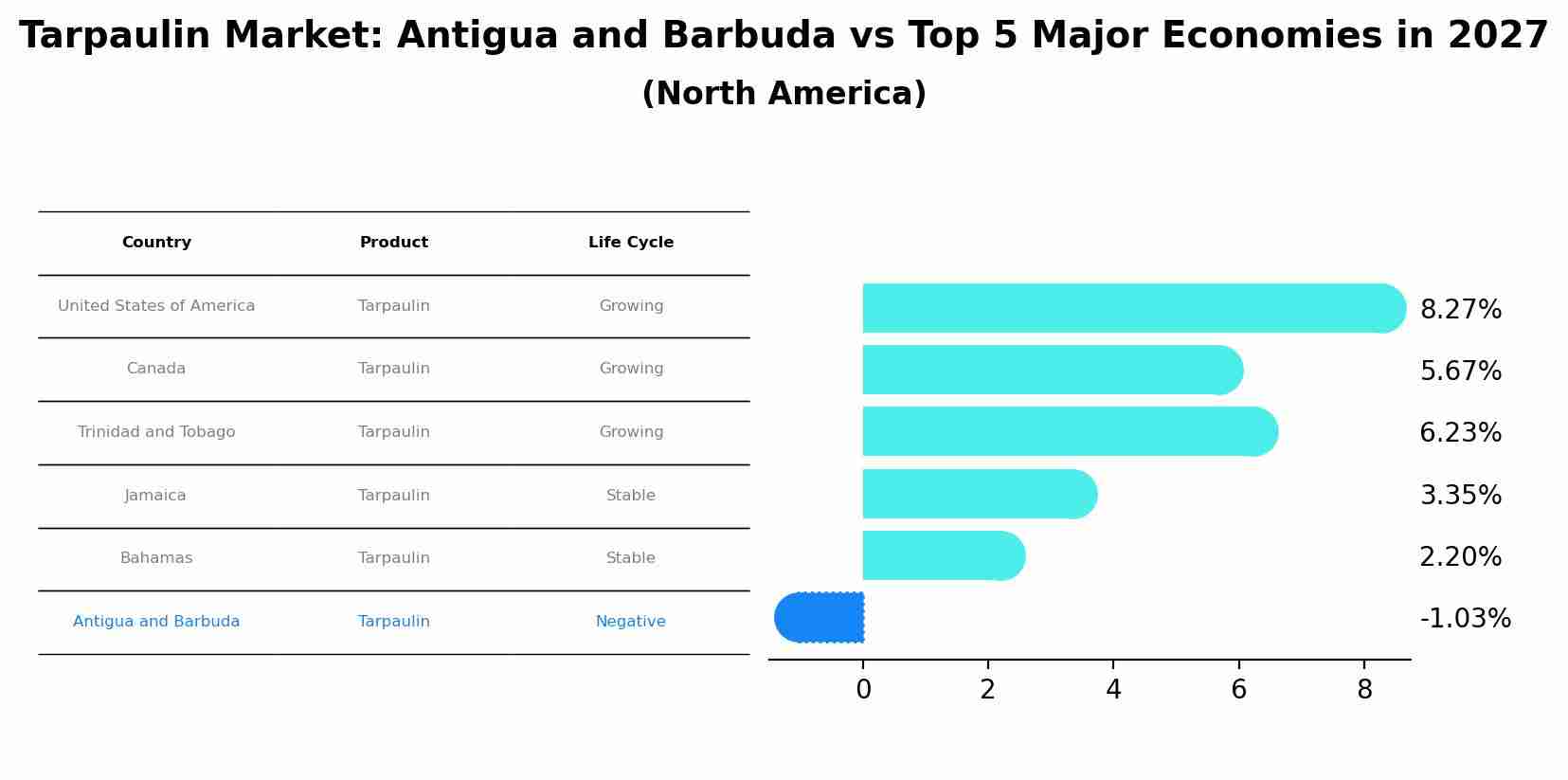 Tarpaulin Market: Antigua and Barbuda vs Top 5 Major Economies in 2027 (North America)