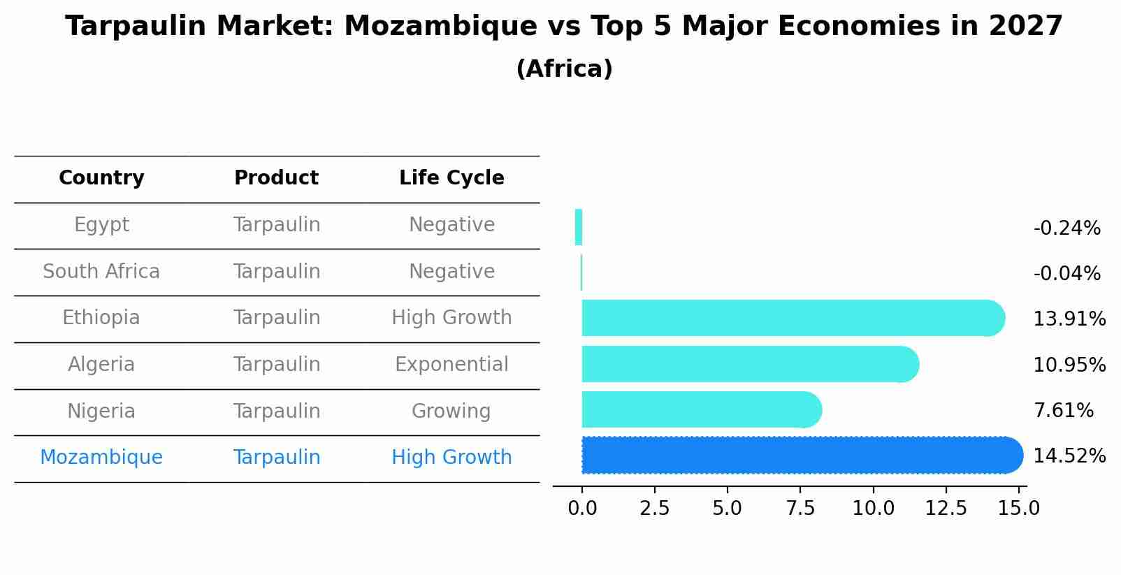 Tarpaulin Market: Mozambique vs Top 5 Major Economies in 2027 (Africa)