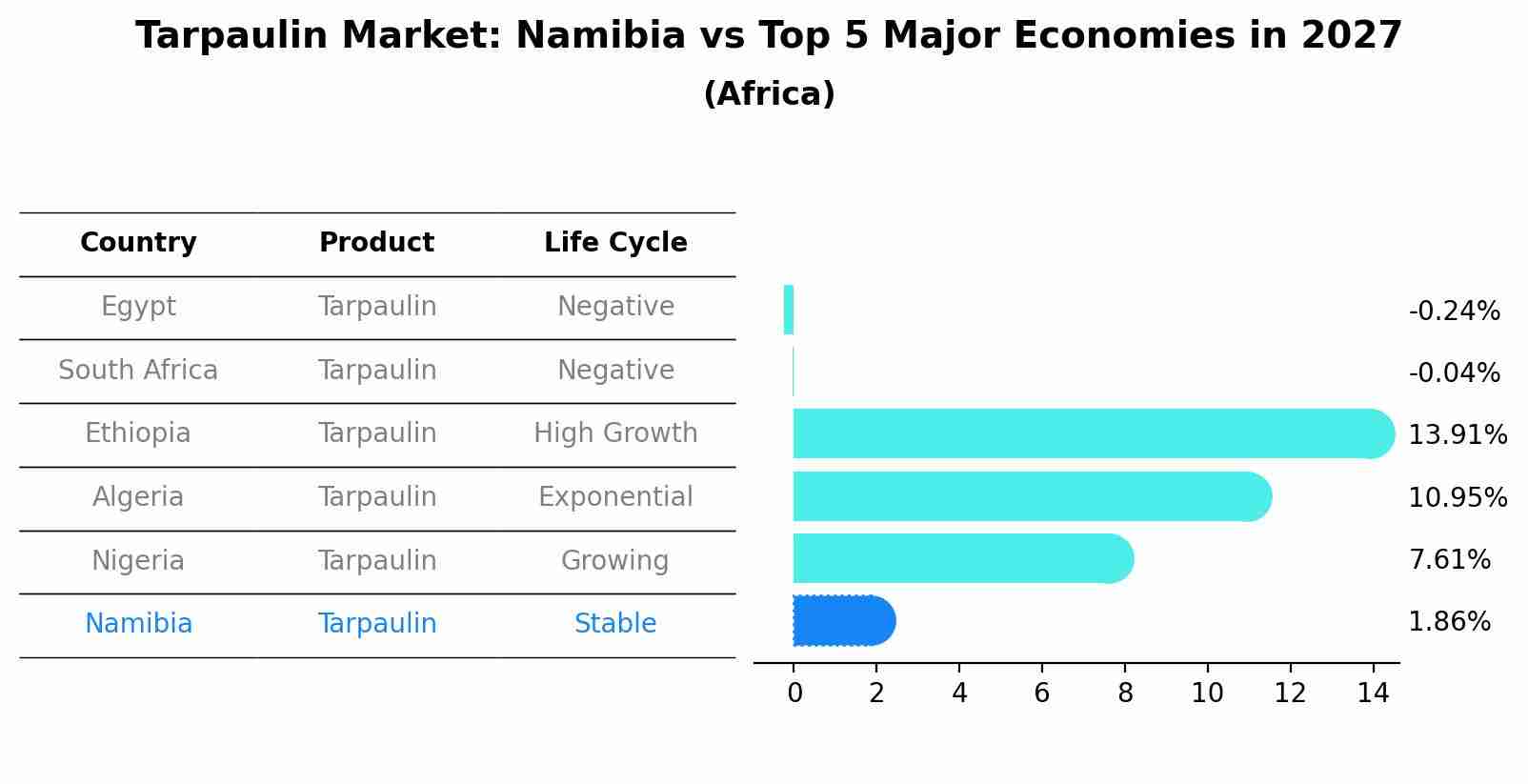 Tarpaulin Market: Namibia vs Top 5 Major Economies in 2027 (Africa)
