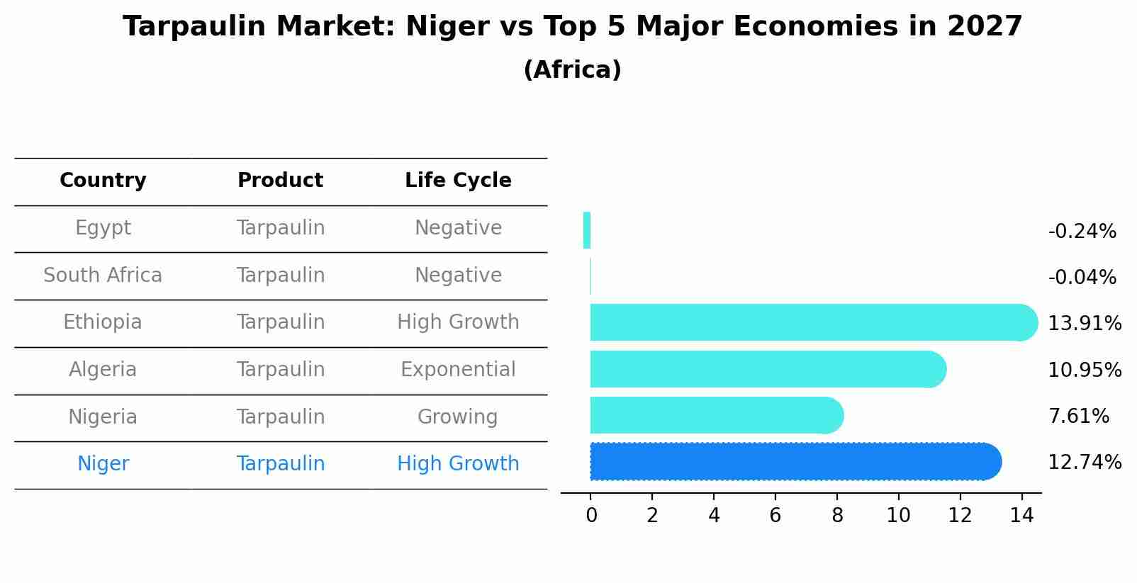 Tarpaulin Market: Niger vs Top 5 Major Economies in 2027 (Africa)