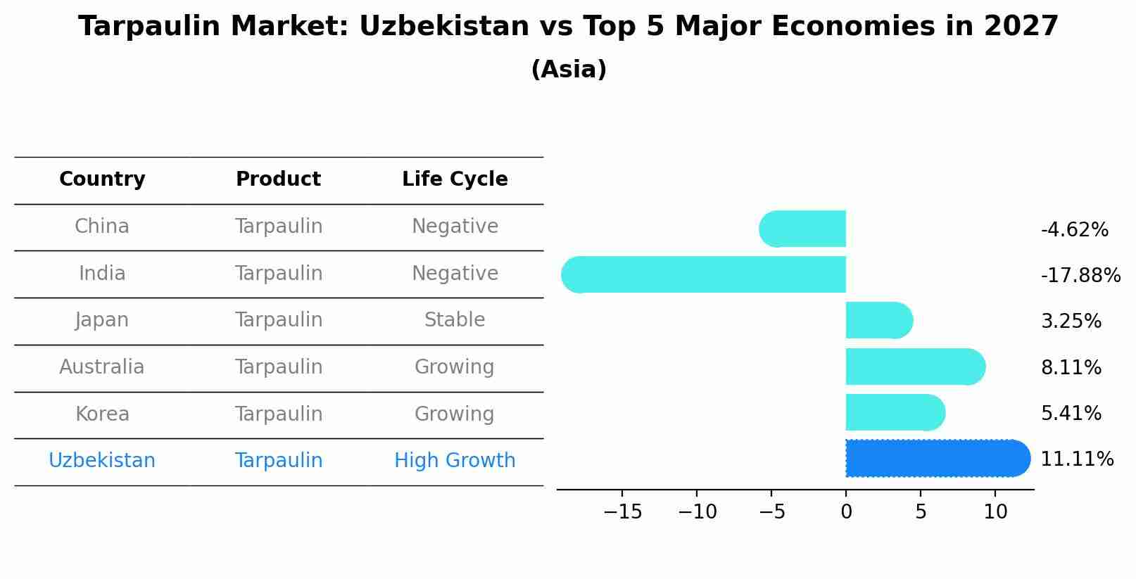 Tarpaulin Market: Uzbekistan vs Top 5 Major Economies in 2027 (Asia)