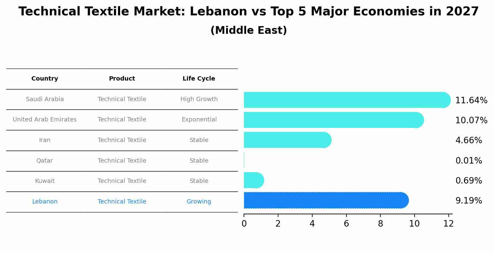 Technical Textile Market: Lebanon vs Top 5 Major Economies in 2027 (Middle East)