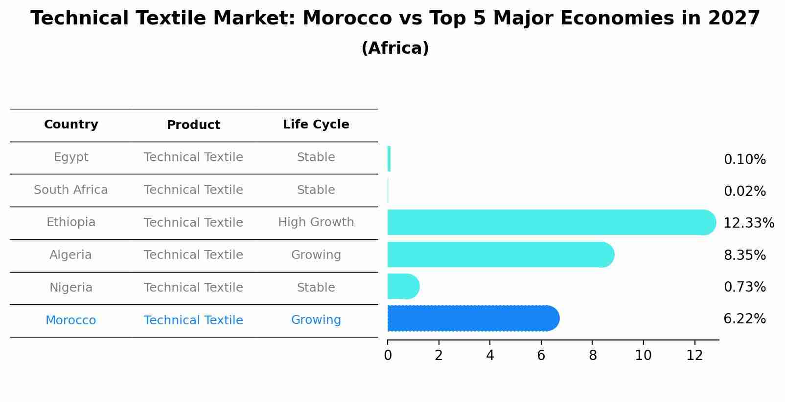 Technical Textile Market: Morocco vs Top 5 Major Economies in 2027 (Africa)