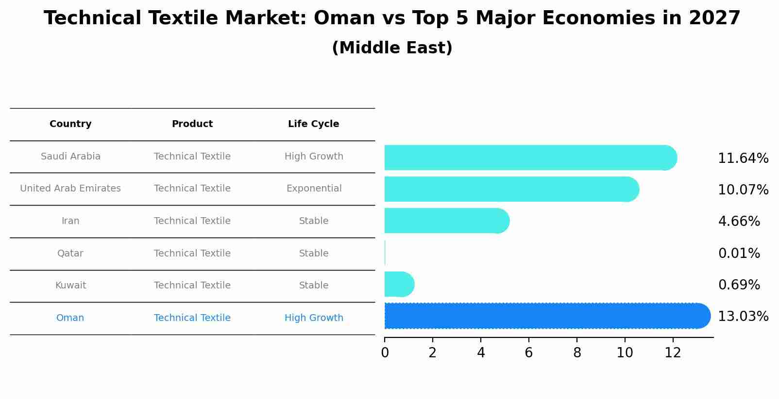 Technical Textile Market: Oman vs Top 5 Major Economies in 2027 (Middle East)