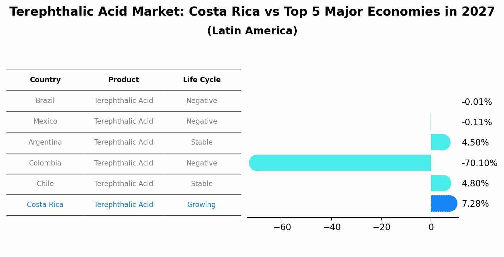 Terephthalic Acid Market: Costa Rica vs Top 5 Major Economies in 2027 (Latin America)
