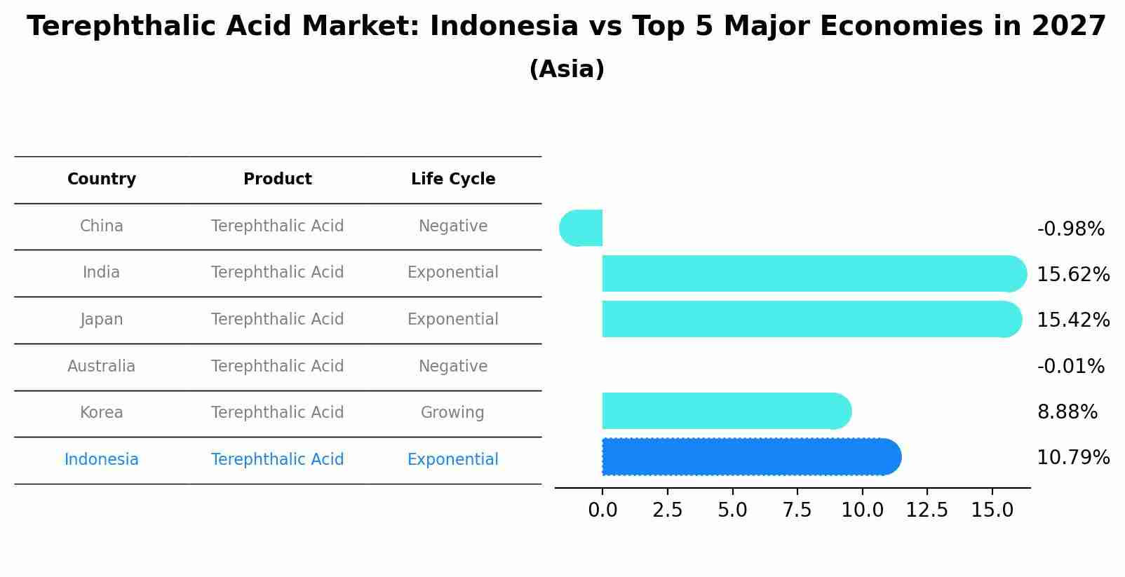 Terephthalic Acid Market: Indonesia vs Top 5 Major Economies in 2027 (Asia)
