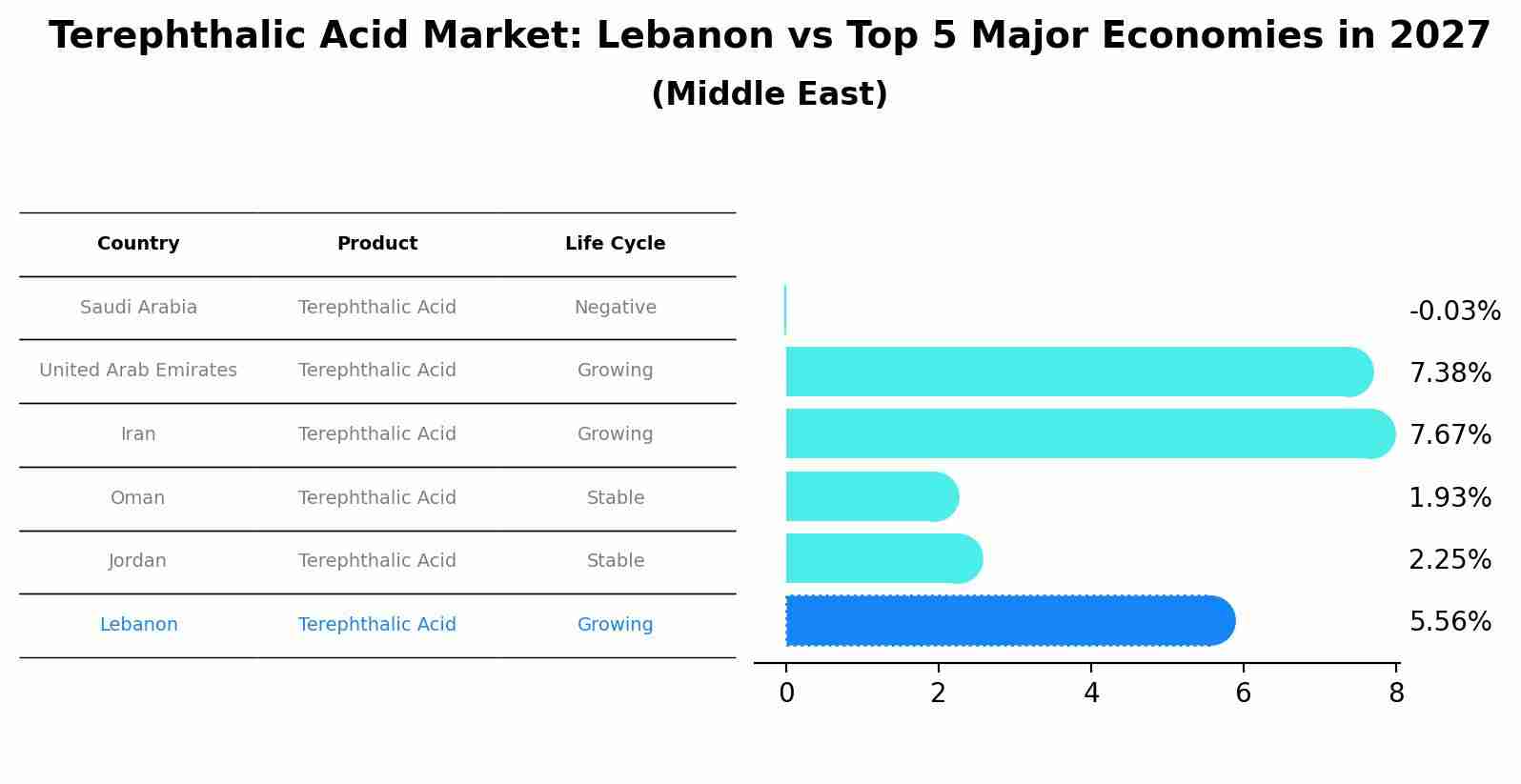 Terephthalic Acid Market: Lebanon vs Top 5 Major Economies in 2027 (Middle East)
