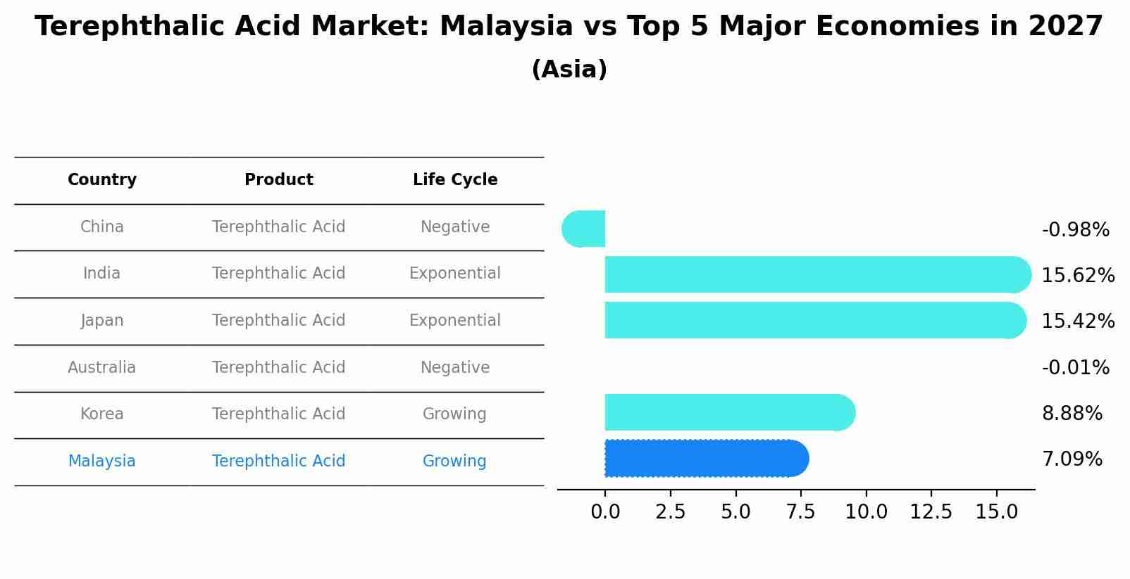 Terephthalic Acid Market: Malaysia vs Top 5 Major Economies in 2027 (Asia)