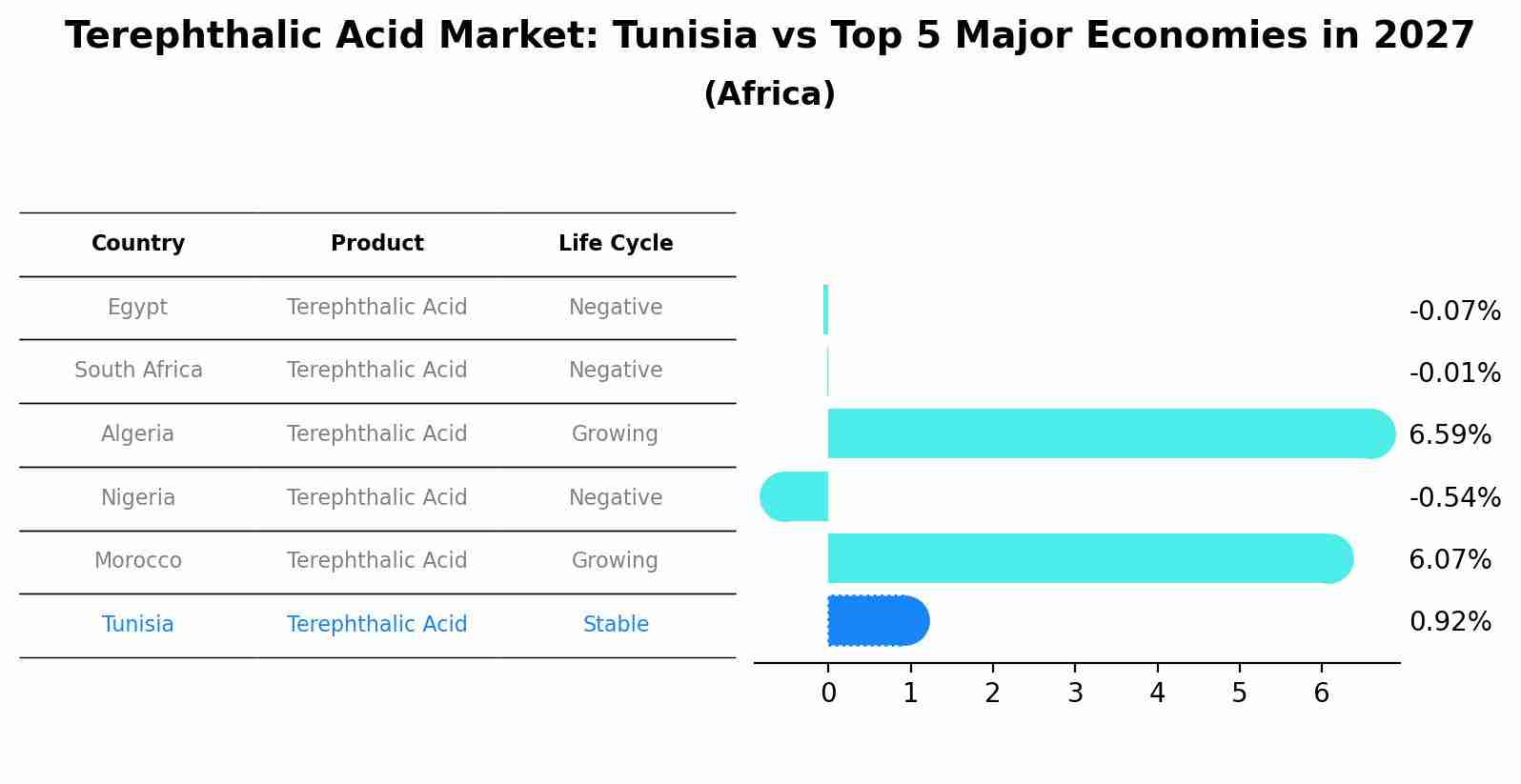 Terephthalic Acid Market: Tunisia vs Top 5 Major Economies in 2027 (Africa)
