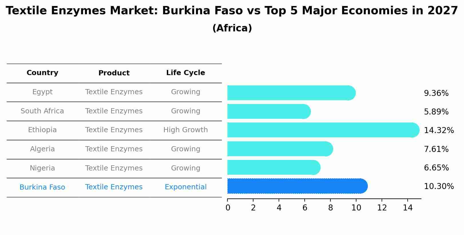 Textile Enzymes Market: Burkina Faso vs Top 5 Major Economies in 2027 (Africa)