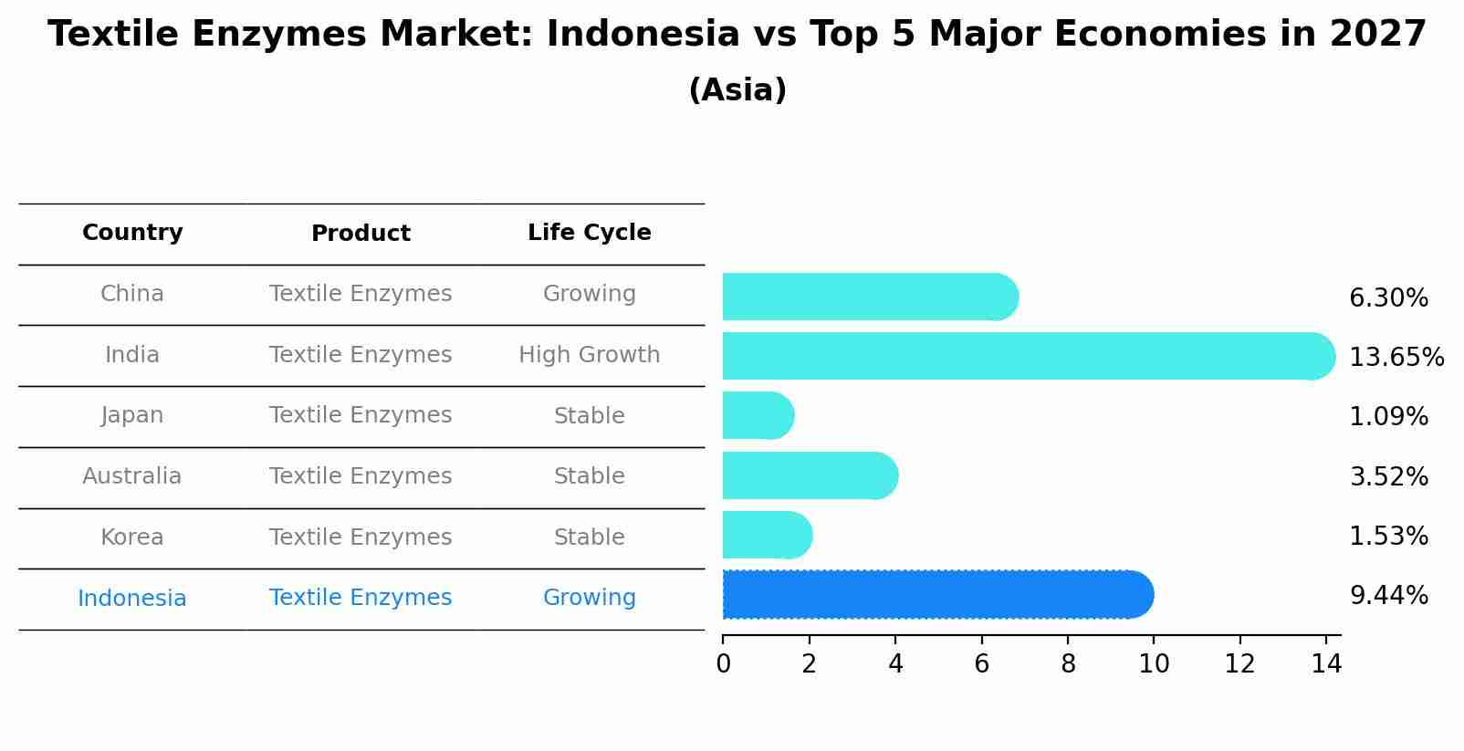 Textile Enzymes Market: Indonesia vs Top 5 Major Economies in 2027 (Asia)