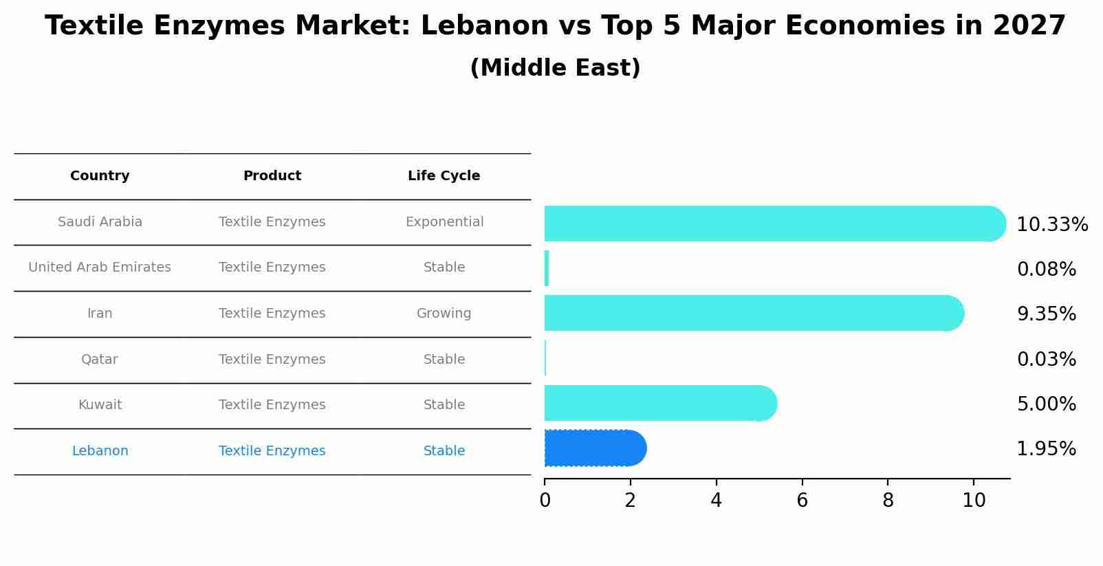 Textile Enzymes Market: Lebanon vs Top 5 Major Economies in 2027 (Middle East)
