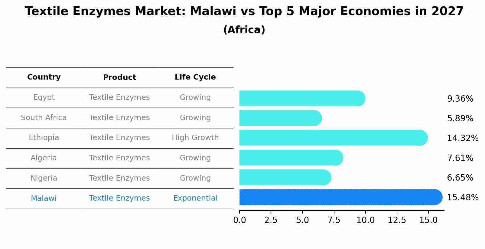 Textile Enzymes Market: Malawi vs Top 5 Major Economies in 2027 (Africa)