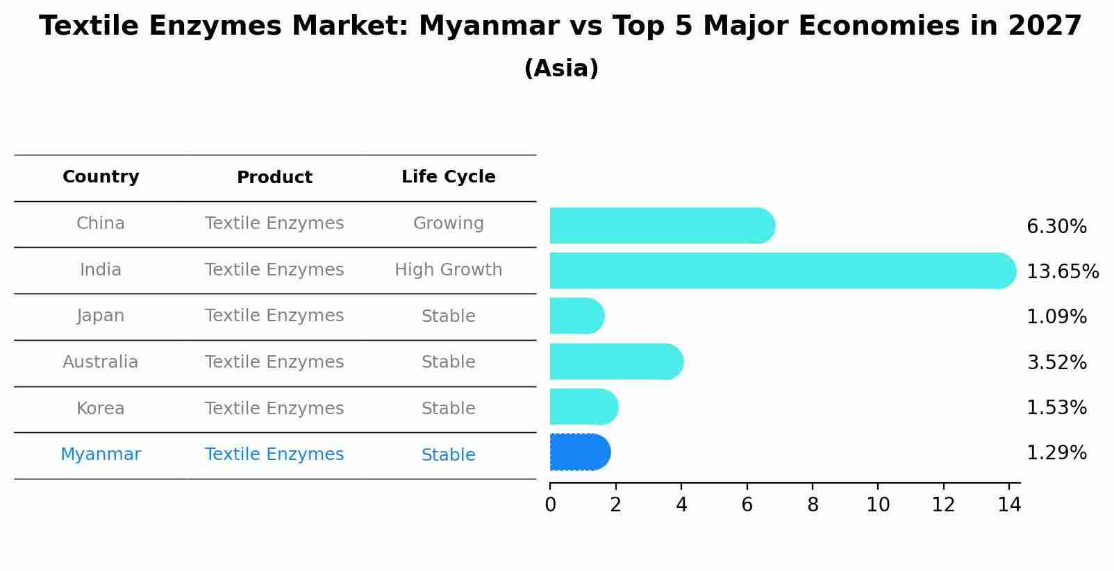 Textile Enzymes Market: Myanmar vs Top 5 Major Economies in 2027 (Asia)