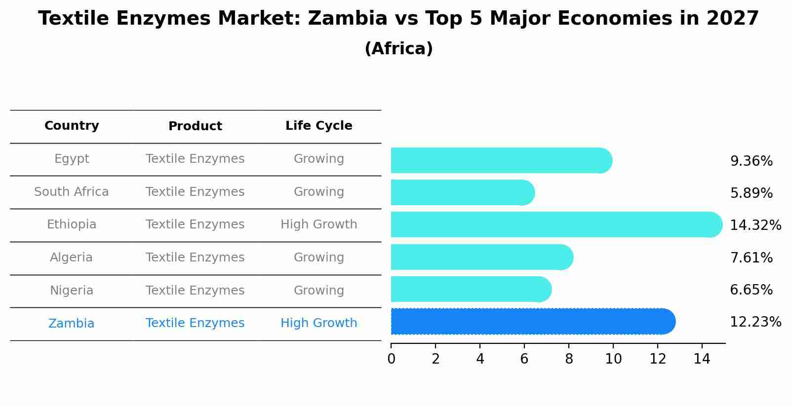 Textile Enzymes Market: Zambia vs Top 5 Major Economies in 2027 (Africa)